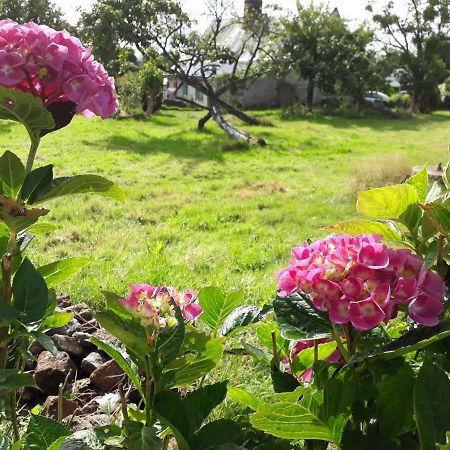 Terre De Reveries Maisoncelles-la-Jourdan Bagian luar foto