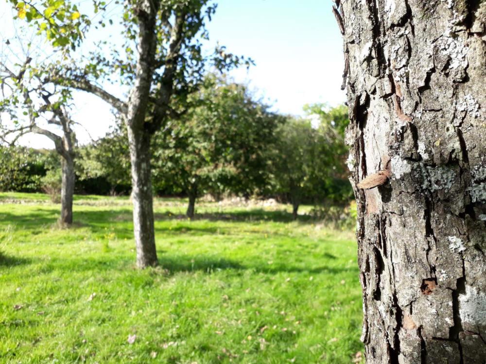 Terre De Reveries Maisoncelles-la-Jourdan Bagian luar foto