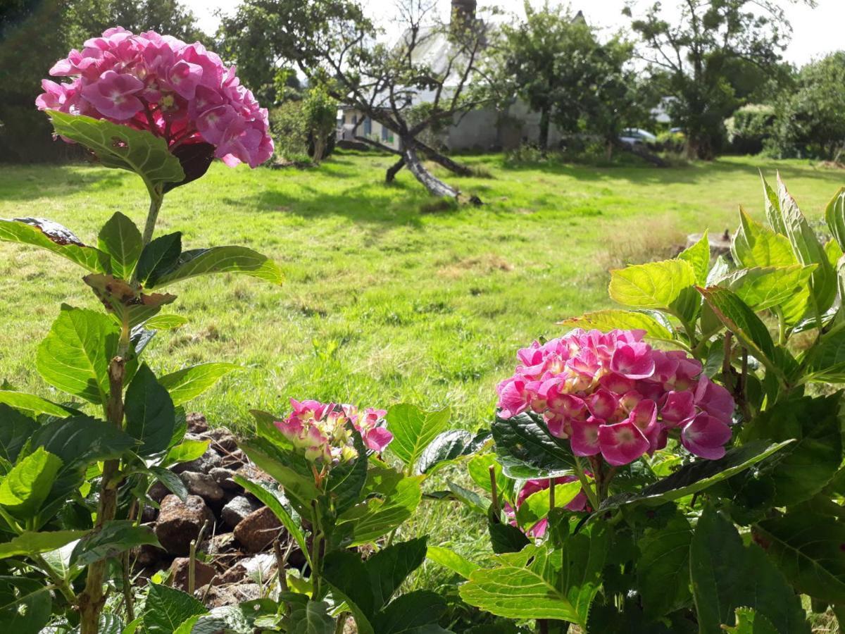 Terre De Reveries Maisoncelles-la-Jourdan Bagian luar foto